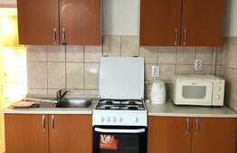 Apartament 1 camera, 45 mp, parcare, zona strazii Eftimie Murgu