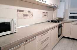 Apartament 2 camere, 58 mp, parțial mobilat, parcare, boxă, zona Avantgarden 3