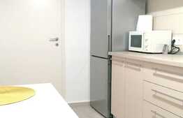 Apartament 2 camere, 58 mp, parțial mobilat, parcare, boxă, zona Avantgarden 3