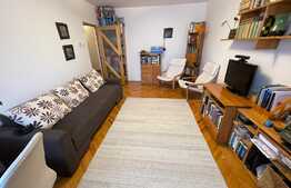 Daca vrei un apartament spatios si bine organizat, arunca o privire aici! Boxa si garaj, Ion Mester