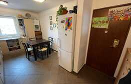 Daca vrei un apartament spatios si bine organizat, arunca o privire aici! Boxa si garaj, Ion Mester