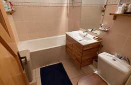 Daca vrei un apartament spatios si bine organizat, arunca o privire aici! Boxa si garaj, Ion Mester