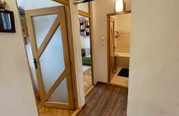 Daca vrei un apartament spatios si bine organizat, arunca o privire aici! Boxa si garaj, Ion Mester