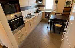 Daca vrei un apartament spatios si bine organizat, arunca o privire aici! Boxa si garaj, Ion Mester