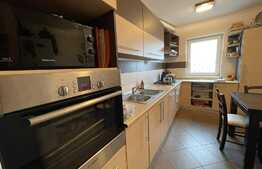 Daca vrei un apartament spatios si bine organizat, arunca o privire aici! Boxa si garaj, Ion Mester