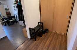 Daca vrei un apartament spatios si bine organizat, arunca o privire aici! Boxa si garaj, Ion Mester