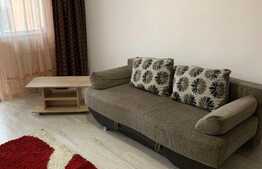 Apartament cu 1 camera, decomandat, 24 mp, pet friendly, zona Expo Transilvania