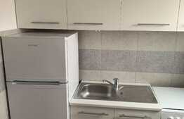 Apartament cu 1 camera, decomandat, 24 mp, pet friendly, zona Expo Transilvania