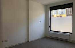 Spatiu comercial modern 115 mp, zona Auchan Iris!