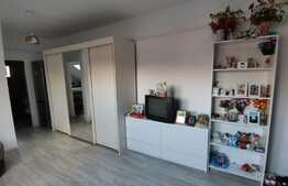 Apartament 1 camera, 41 mp, zona Eroilor