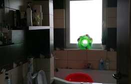 Apartament in vila, 2 camere decomandate, 54 mp +2 terase, garaj si boxa, zona Campului