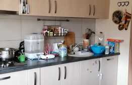 Apartament in vila, 2 camere decomandate, 54 mp +2 terase, garaj si boxa, zona Campului