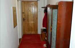 2 camere, 45 mp, mobilat decent, zona strazii Donath!