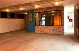 Spatiu multifunctional, 185 mp, ideal pentru multiple activitati comerciale! Marasti