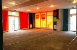 Spatiu multifunctional, 185 mp, ideal pentru multiple activitati comerciale! Marasti