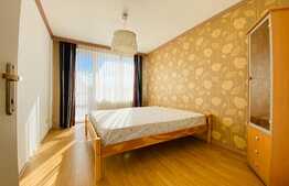 Casa cu 7 camere, 220 mp, 2 niveluri, curte, zona strazii Maramuresului