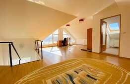 Casa cu 7 camere, 220 mp, 2 niveluri, curte, zona strazii Maramuresului