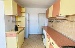 Casa cu 7 camere, 220 mp, 2 niveluri, curte, zona strazii Maramuresului