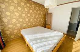 Casa cu 7 camere, 220 mp, 2 niveluri, curte, zona strazii Maramuresului