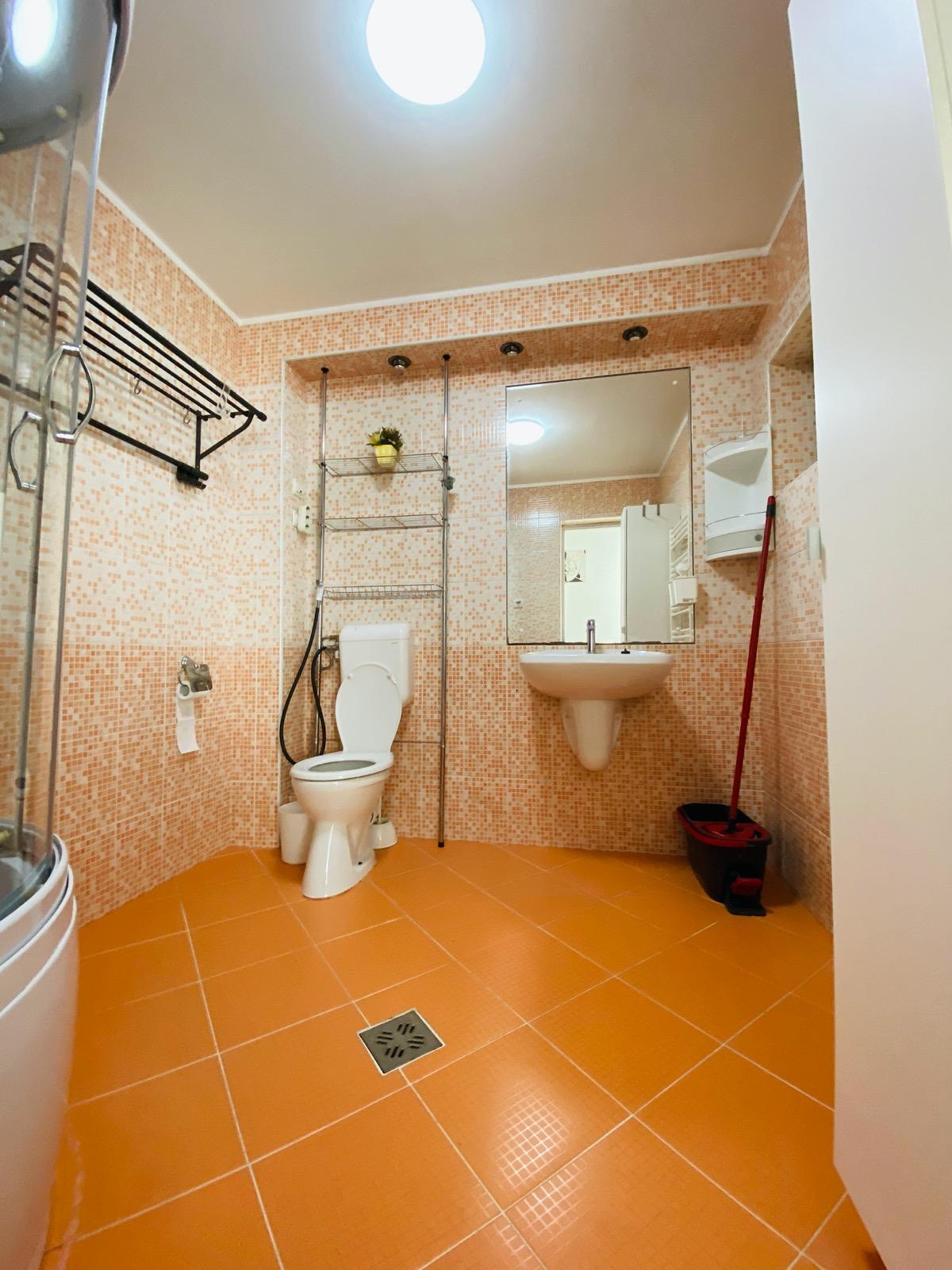 Casa de închiriat 7 camere Dambul Rotund - 60692CI | BLITZ Cluj-Napoca | Poza16