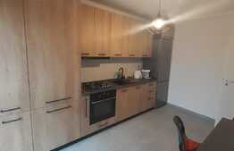 Apartament 1 camera ultrafinisat, totul nou, etaj intermediar, zona Eroilor