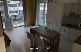  2 camere, nemobilat, 45 mp, terasa 50mp, prima inchiriere,parcare subterana, Eugen Ionesco