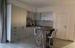  2 camere, nemobilat, 45 mp, terasa 50mp, prima inchiriere,parcare subterana, Eugen Ionesco