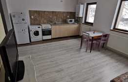 Apartament 2 camere, 48 mp, parcare, zona Stejarului