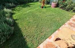 Apartament cu gradina, 2 camere, parcare, zona strazii Eroilor