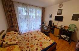 Apartament cu gradina, 2 camere, parcare, zona strazii Eroilor