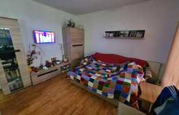 Apartament cu gradina, 2 camere, parcare, zona strazii Eroilor