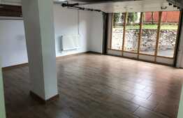 Spatiu de inchiriat, 55 mp, zona strazii Albac