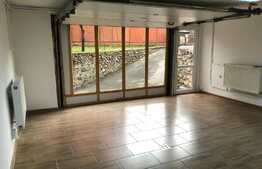 Spatiu de inchiriat, 55 mp, zona strazii Albac