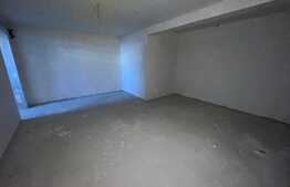 Apartament de vanzare, 4 camere, 121 mp, subsol 60 mp, 3 parcari, zona Voronet