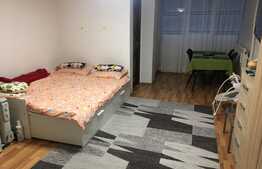 Garsoniera semidecomandata, spatioasa, cu priveliste spre padure.