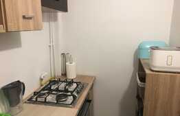 Garsoniera semidecomandata, spatioasa, cu priveliste spre padure.