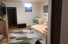 Garsoniera semidecomandata, spatioasa, cu priveliste spre padure.