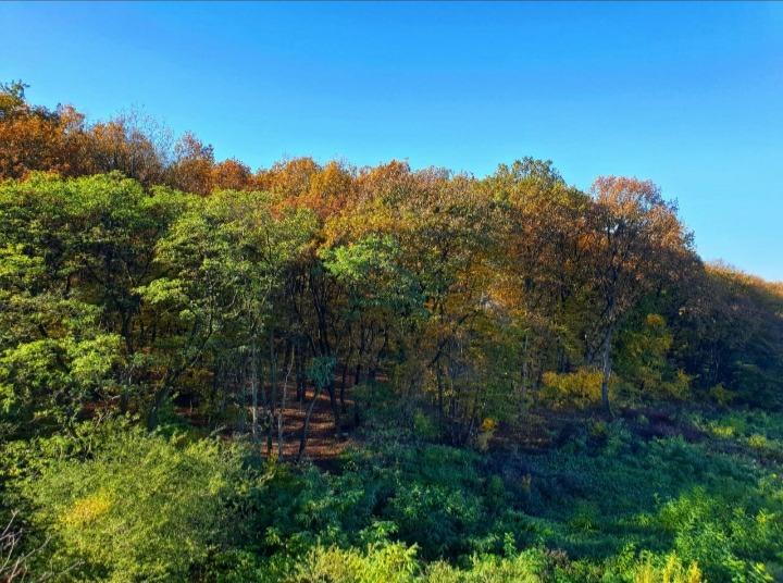 Garsonieră de vânzare Manastur - 60771AV | BLITZ Cluj-Napoca | Poza10