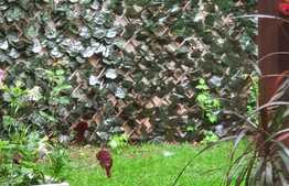 Apartament de 3 camere, decomandat, 60mp, zona Racadau 