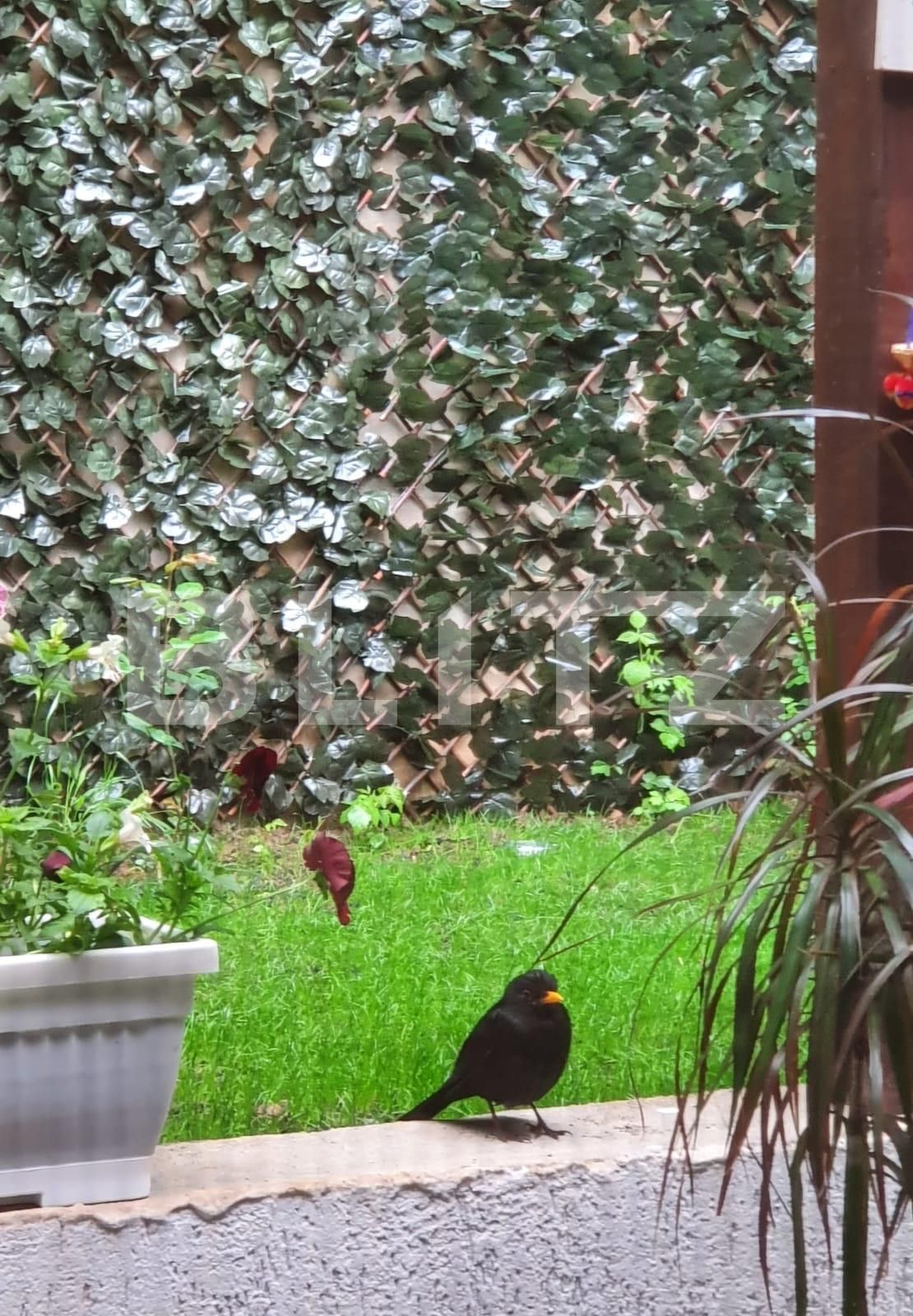 Apartament de vânzare 3 camere Racadau - 60773AV | BLITZ Brașov | Poza13