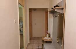 Apartament decomandat, cu 2 camere, 50mp, Marasti, zona strazii Dambovitei