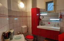 De vanzare casa individuala, 216 mp utili, 540 mp teren, Andrei Muresanu