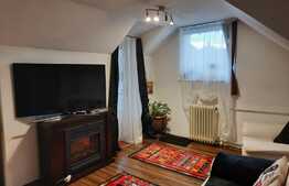 De vanzare casa individuala, 216 mp utili, 540 mp teren, Andrei Muresanu