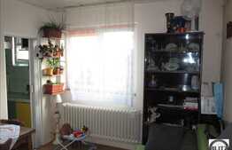 Apartament de vanzare, 2 camere, 27 mp, zona strazii Albac!