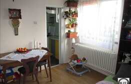 Apartament de vanzare, 2 camere, 27 mp, zona strazii Albac!