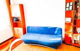 Garsoniera spatioasa, centrala proprie, 28mp cu balcon, zona Nora