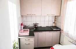 Garsoniera spatioasa, centrala proprie, 28mp cu balcon, zona Nora