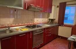 Apartament 2 camere, partial mobilat, zona Muzeul Apei!