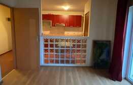 Apartament 2 camere, partial mobilat, zona Muzeul Apei!