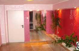 Un apartament deosebit dispus pe 2 nivele, 5 camere, 160 mp utili